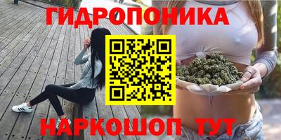 наркотики Гусев