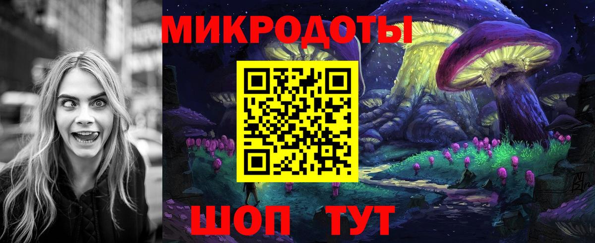 Махачкала  Псилоцибиновые грибы MAGIC MUSHROOMS  Галлюциногенные грибы Psilocybe  Вход с VPN 